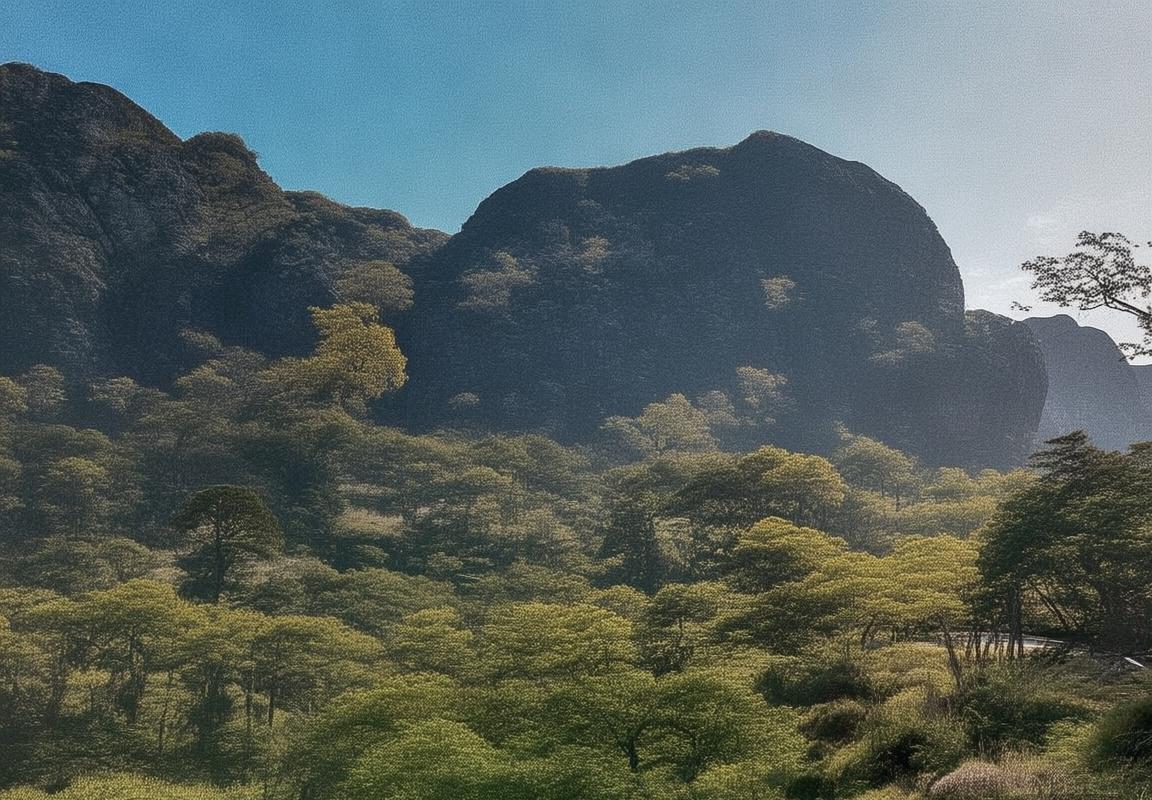 贝林厄姆：国际足坛新星成长之路(图2)